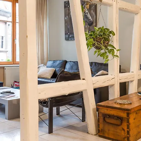 Mit Zwei Garagenstellplaetzen By Interhome Lejlighed Colmar